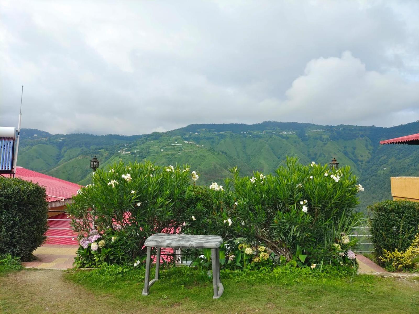 Little Heart Resort Chail Eksteriør bilde