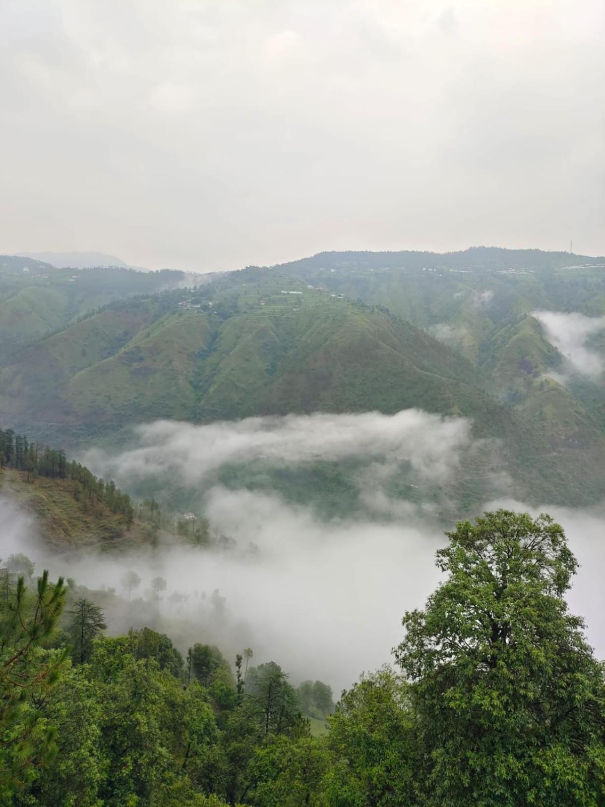 Little Heart Resort Chail Eksteriør bilde