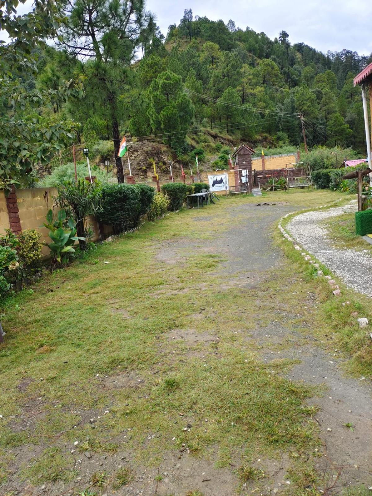Little Heart Resort Chail Eksteriør bilde